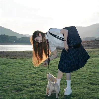 内战圣伯纳犬